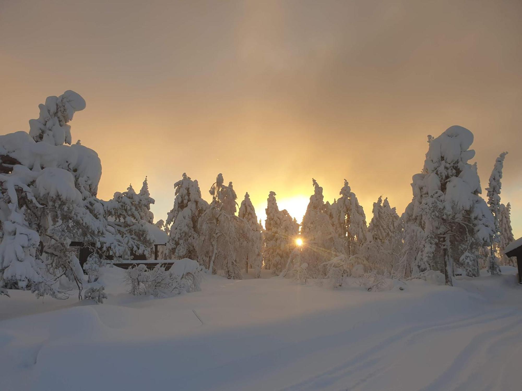 Ro I Sjelen. Hytte Til Leie Pa Skrim. Kongsberg Exterior photo