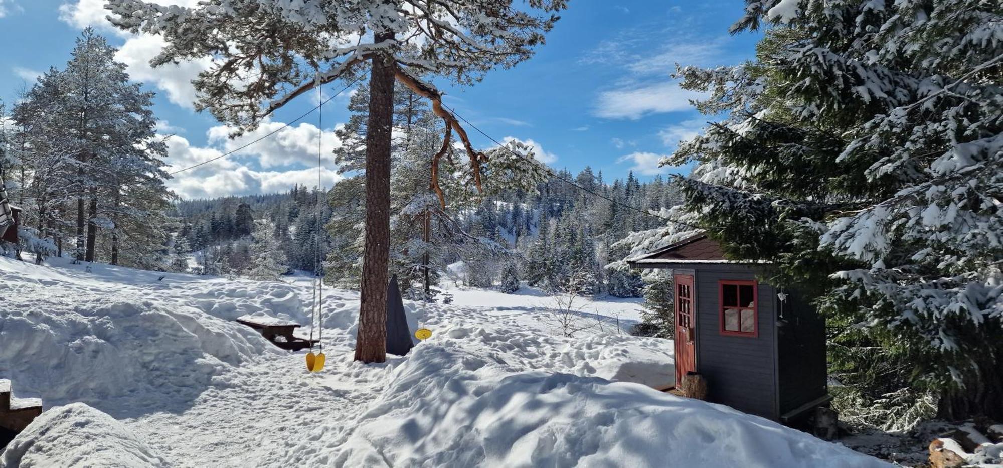 Ro I Sjelen. Hytte Til Leie Pa Skrim. Kongsberg Exterior photo