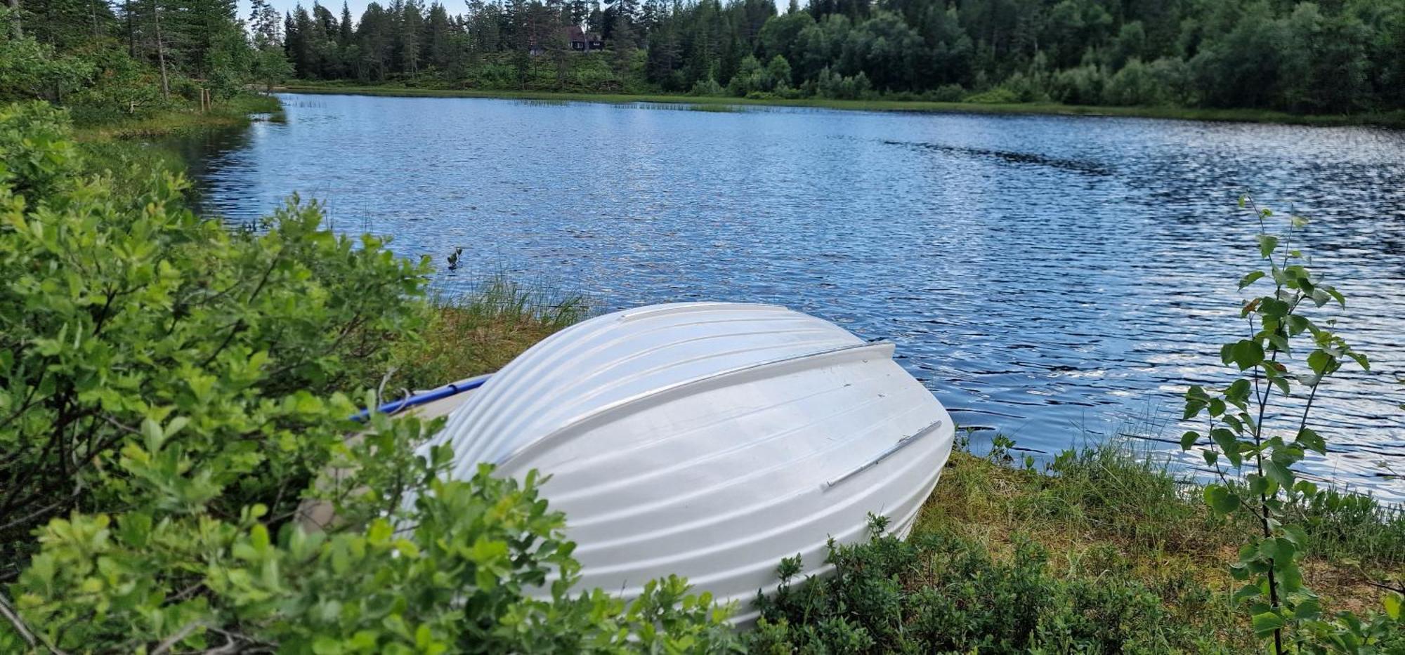 Ro I Sjelen. Hytte Til Leie Pa Skrim. Kongsberg Exterior photo