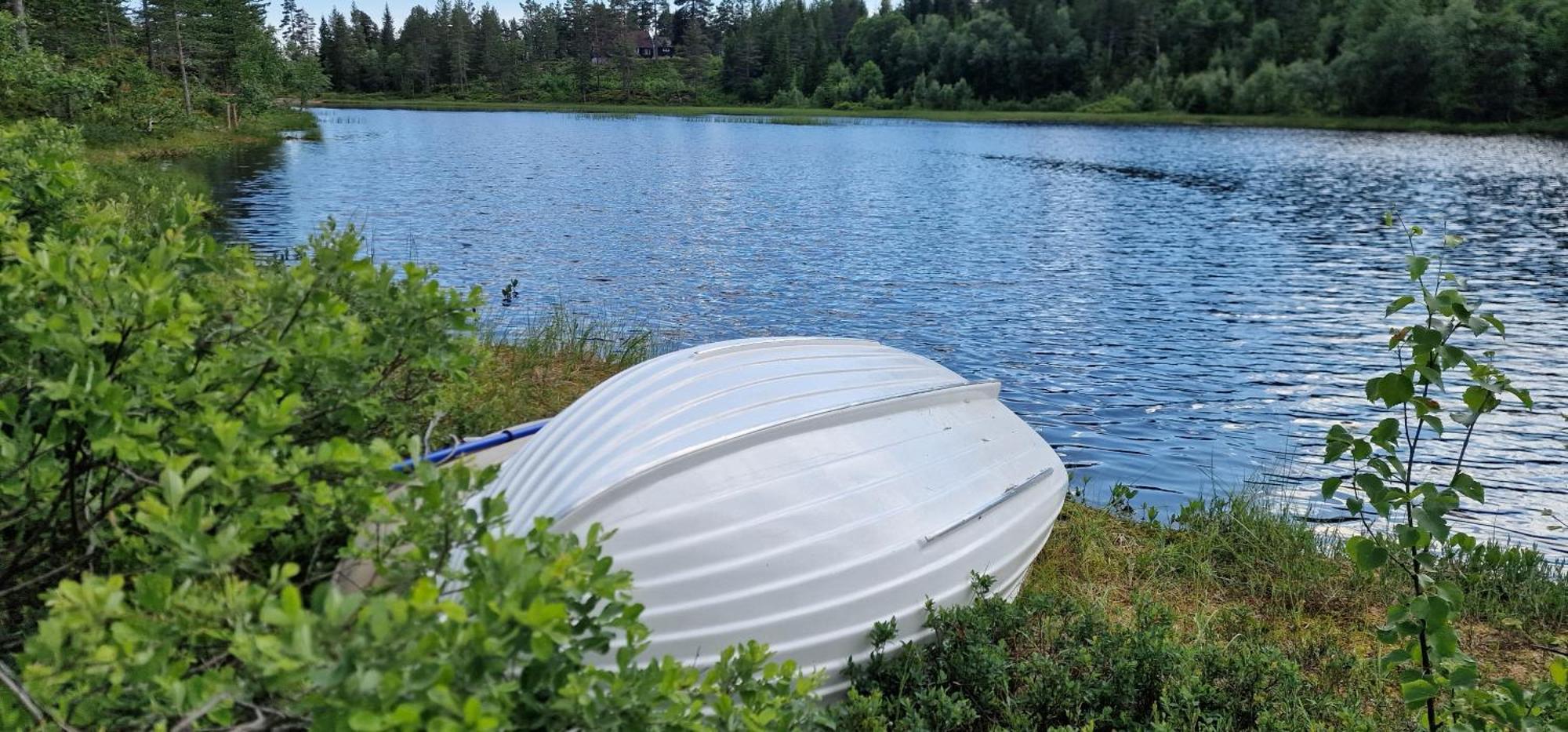 Ro I Sjelen. Hytte Til Leie Pa Skrim. Kongsberg Exterior photo